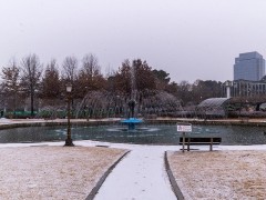 庆北国立大学校园环境