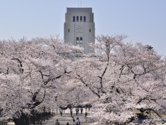 东京工业大学校园环境