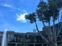 爱尔兰国立高威大学校园环境